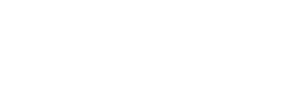 Shopify Partner